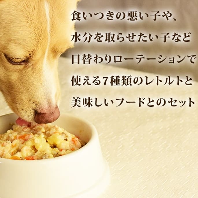 ѥաɥåȡۥꥹƥåå󥰤ؤȥȥå