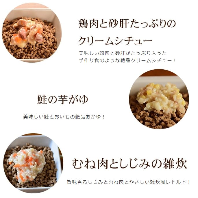 ѥաɥåȡۥꥹƥåå󥰤ؤȥȥå