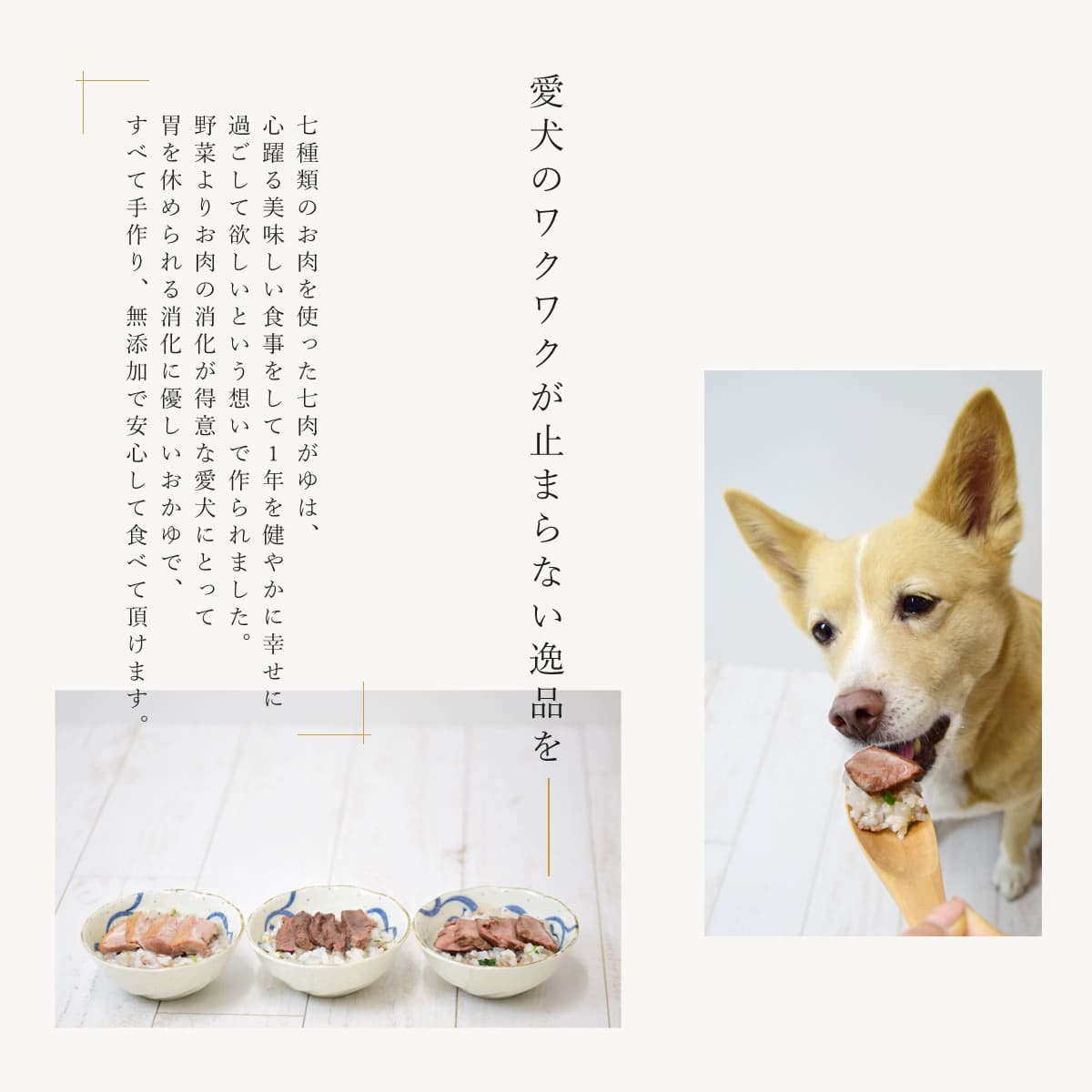 ��ͽ�����������ۡڿ��̸���� �����Ѽ��ꤴ�� ������������ڥϥ���ɥ��࿩Ʋ��