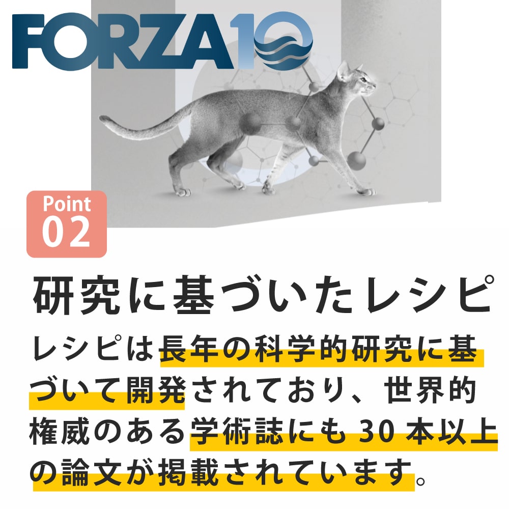 ǭ FORZA10��ˡ���åϥ��ݥ���른���˥å������ƥ���  400g/1.5kg  �ե���ĥ��ǥ����� ����åȥա��ɡ���1.5kg�Ϥ����󤻸�ȯ���ʤ��Ϥ��ޤ�1�������١�