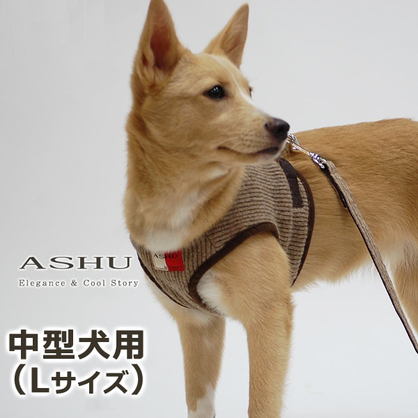 ���ѥϡ��ͥ����淿����ASHU���˥åȥ������ϡ��ͥ���L�������ڥ꡼�ɤ�������