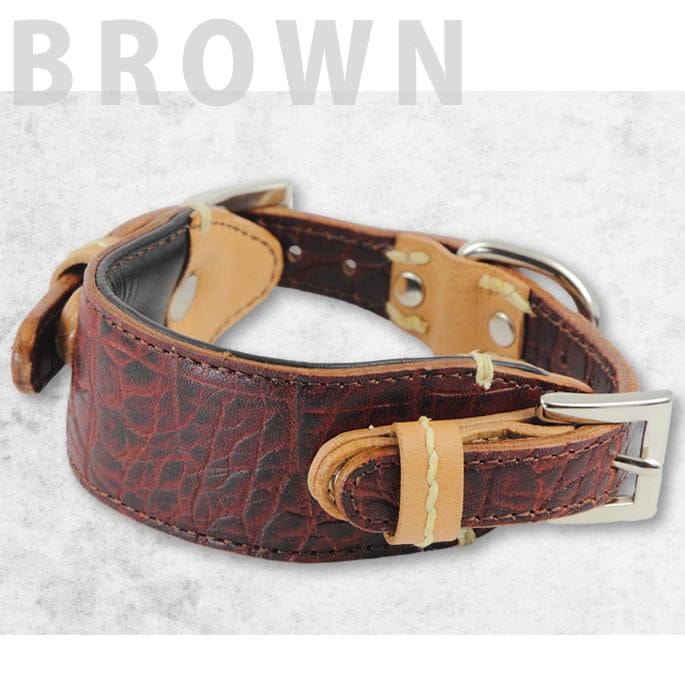 中～大型犬用首輪｜ASHU ダブルバックル カラー サイズ M