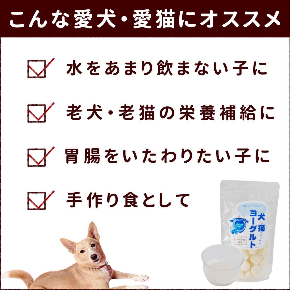 ǭΤΥ衼() ĲޤϤ