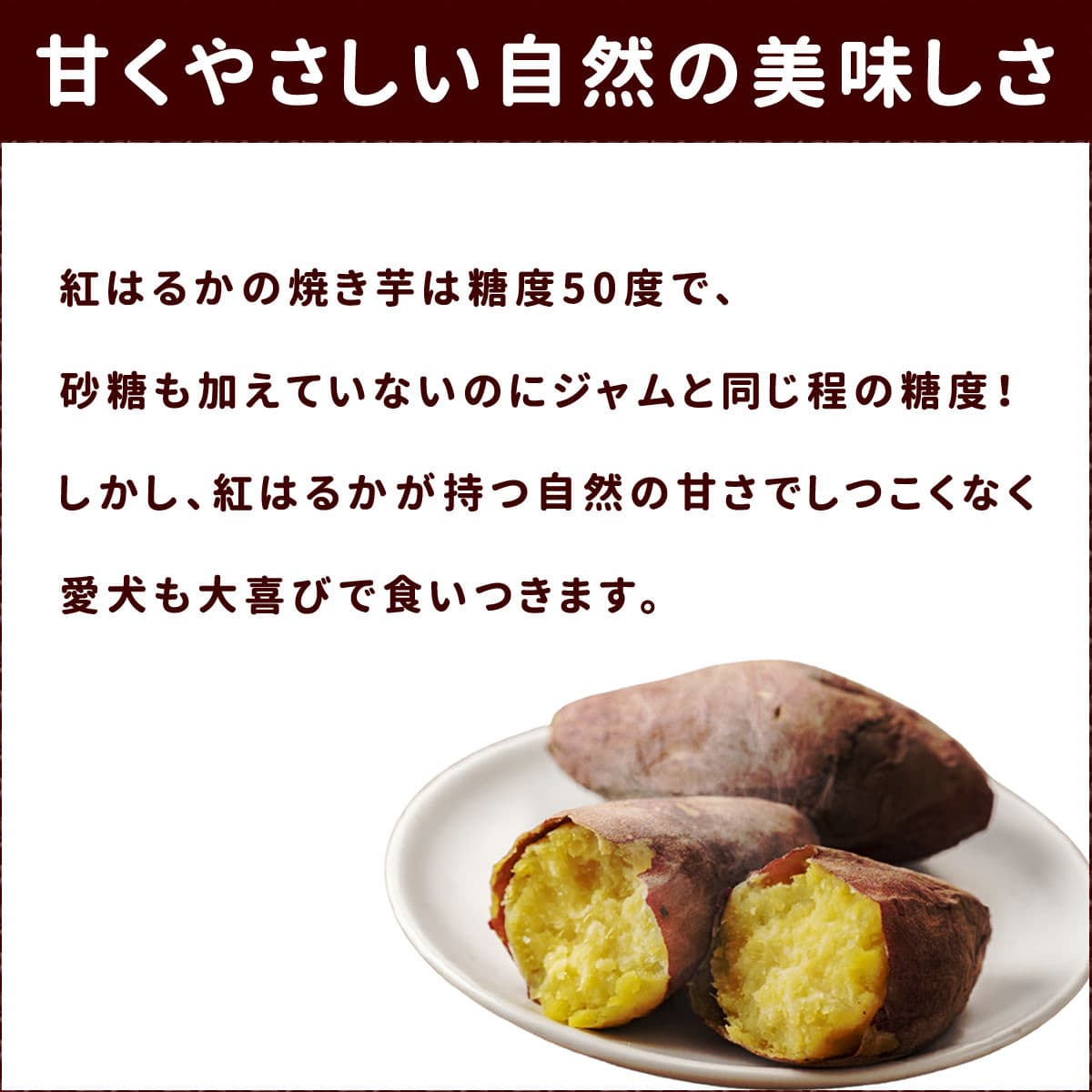 ���Ѥ���ġð����ѡ��Ƥ��򤻤�٤���5�ޥ��å�