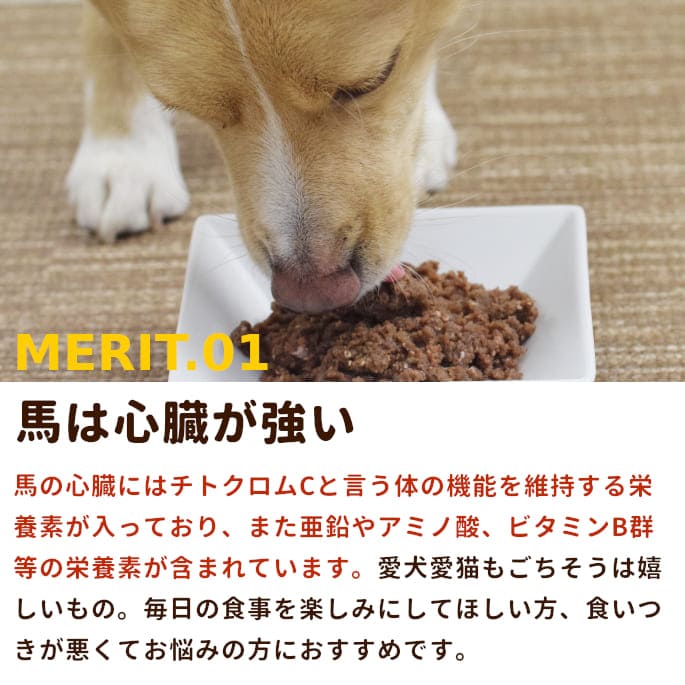 ���� ���������ࡡ�����ϥ�����ߥ����ʬ���ȥ졼��1kg������ǭ�ˤ⤴���Ѥ��������ޤ�