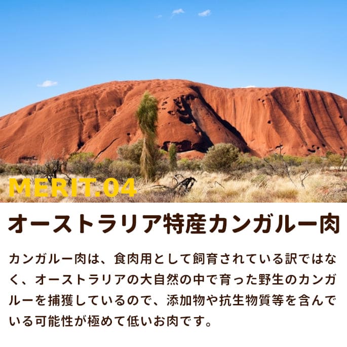 ��ǭ�� ���󥬥롼���å������ȥ�ꥢ�����󥬥롼���ߥ����ʬ���ȥ졼 1kg