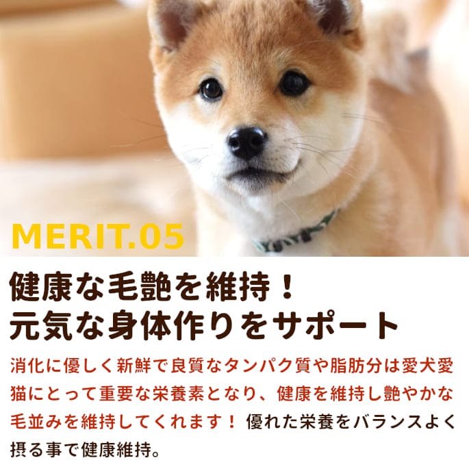 ��ǭ�� ���󥬥롼���å������ȥ�ꥢ�����󥬥롼���ߥ����ʬ���ȥ졼 1kg