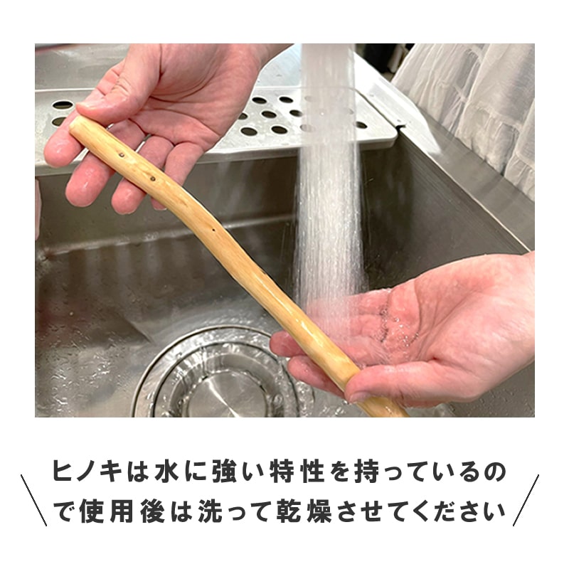 ���Ѥ������ �������ŷ���ڥǥ󥿥�ҤΤ��������硼�� �� / M / L��1�ܡ�