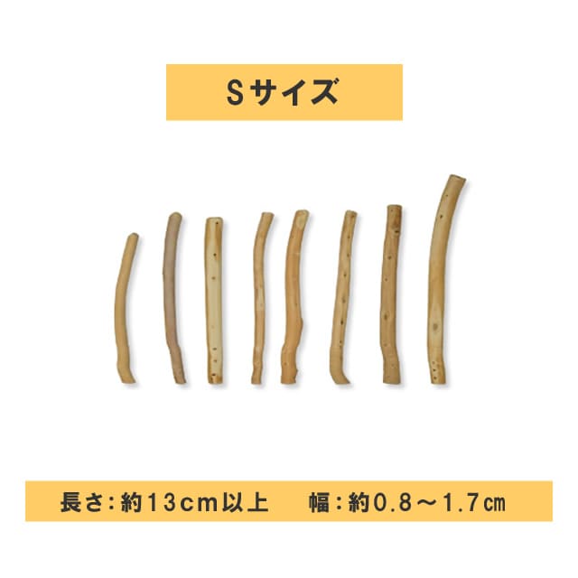 ���Ѥ������ �������ŷ���ڥǥ󥿥�ҤΤ��������硼�� �� / M / L��1�ܡ�