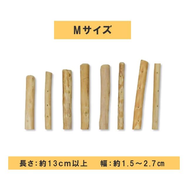 ���Ѥ������ �������ŷ���ڥǥ󥿥�ҤΤ��������硼�� �� / M / L��1�ܡ�