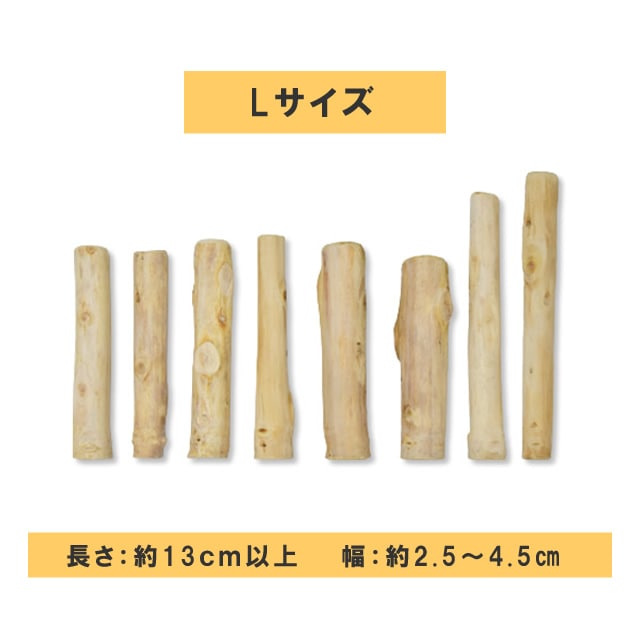 ���Ѥ������ �������ŷ���ڥǥ󥿥�ҤΤ��������硼�� �� / M / L��1�ܡ�