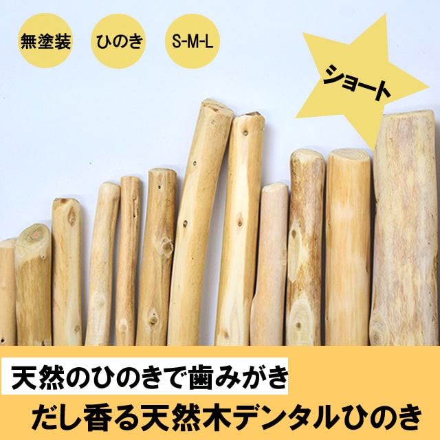 ���Ѥ������ �������ŷ���ڥǥ󥿥�ҤΤ��������硼�� �� / M / L��1�ܡ�