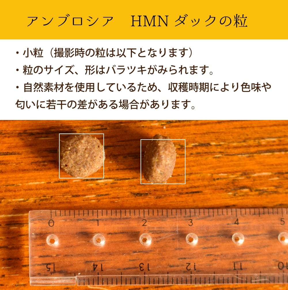 アンブロシア HMNダック 100g/1.5kg/5kg/12kg 成犬用 ドライフード