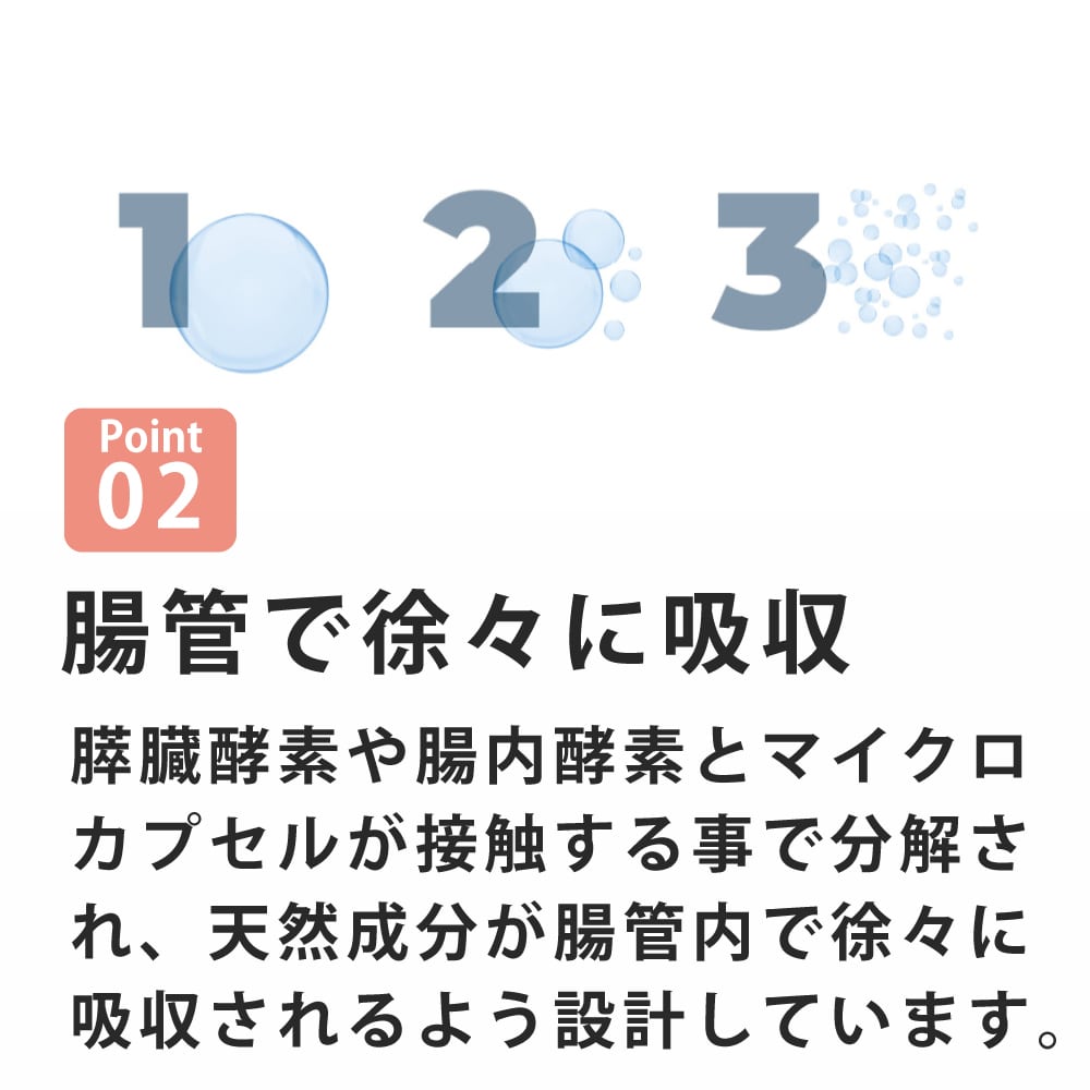 FORZA10�åǥ��꡼�ץ����ѥԡ��ե��å��塡600g / 3.6kg Daily Pro