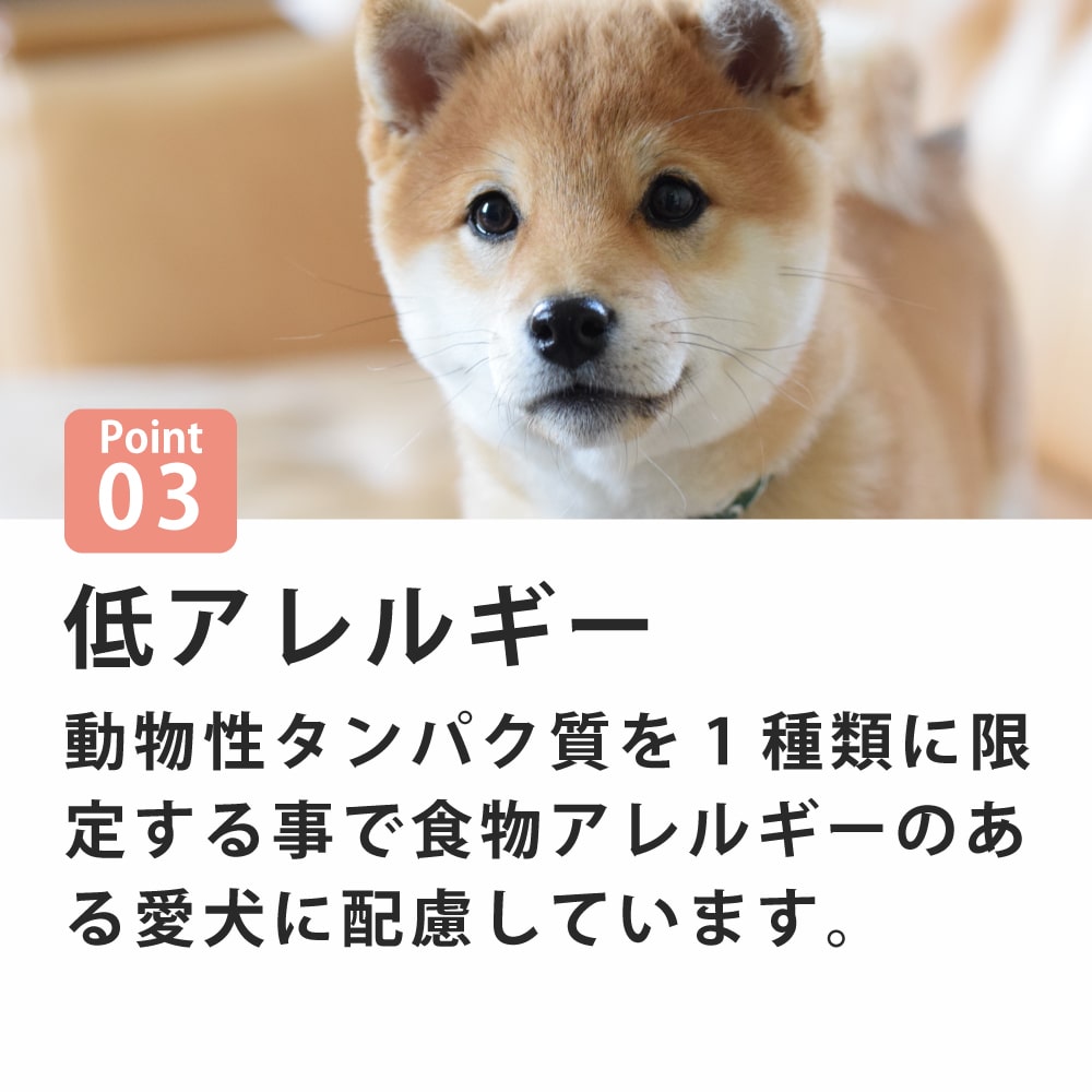 FORZA10�åǥ��꡼�ץ����ѥԡ��ե��å��塡600g / 3.6kg Daily Pro