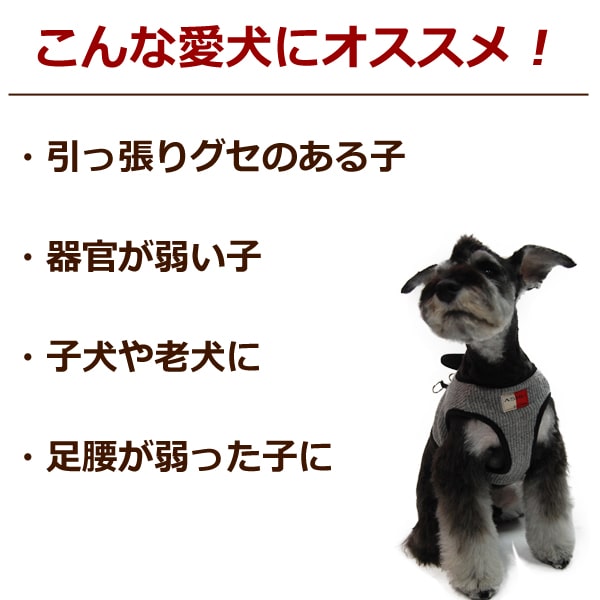 ���ѥϡ��ͥ����淿����ASHU���˥åȥ������ϡ��ͥ���XL�������ڥ꡼�ɤ�������