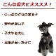 ���ѥϡ��ͥ����淿����ASHU���˥åȥ������ϡ��ͥ���XL�������ڥ꡼�ɤ�������