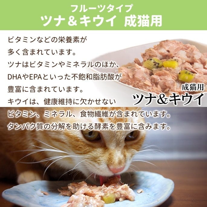 Schesir（シシア）/キャット フルーツタイプ ツナ＆キウイ缶 14缶