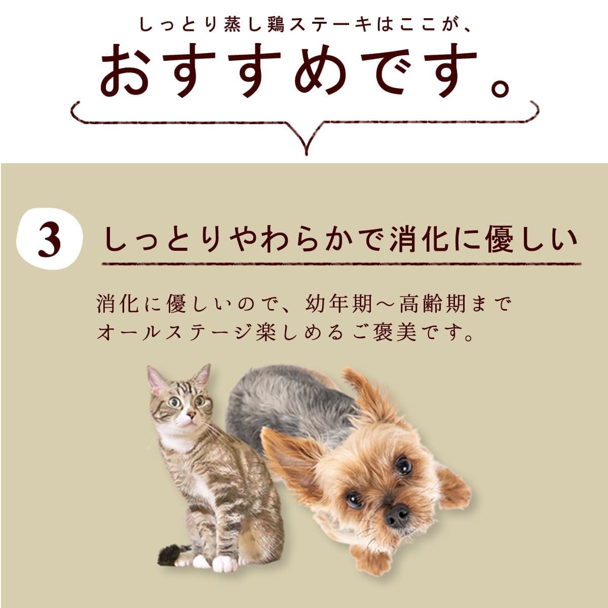 ǭ̵ź 绳ɤξܥơ 5ޥåȡڥϥɥ࿩ƲۡۡڤȤäƤ꡼