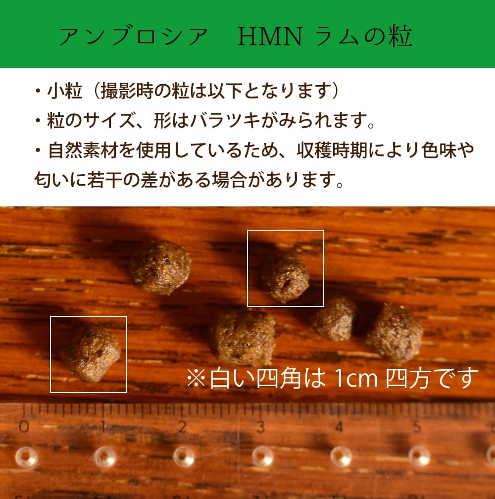 ����֥����� HMN��� 100g/1.5kg/5kg/12kg  ��ǯ���б��������ѥɥ饤�ա��ɡ�AMBROSIA���ɥå��ա���