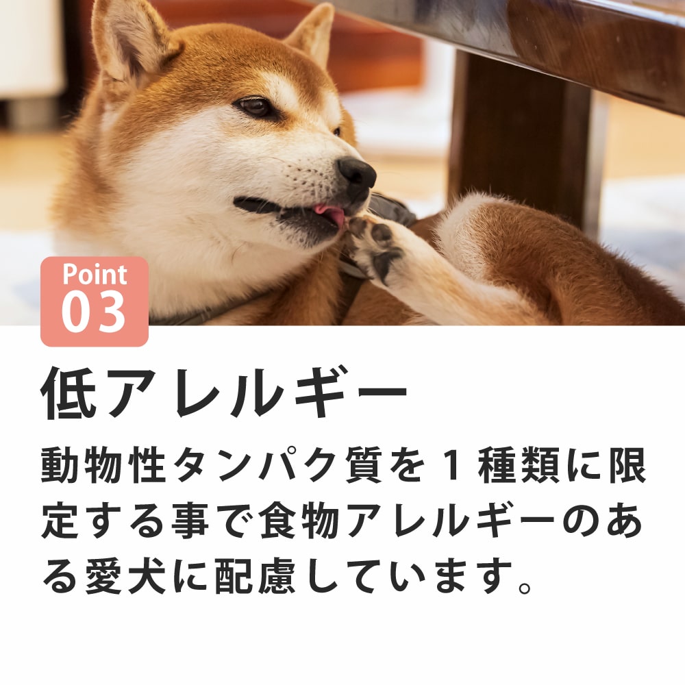 FORZA10�åǥ��꡼�ץ���������ȥۡ�����600g / 1.5kg / 3.6kg / ��γ12kg����12kg�Ϥ����󤻤�ȯ���ʤ��Ϥ��ޤ�1�������١� ���������˥����� Daily Pro