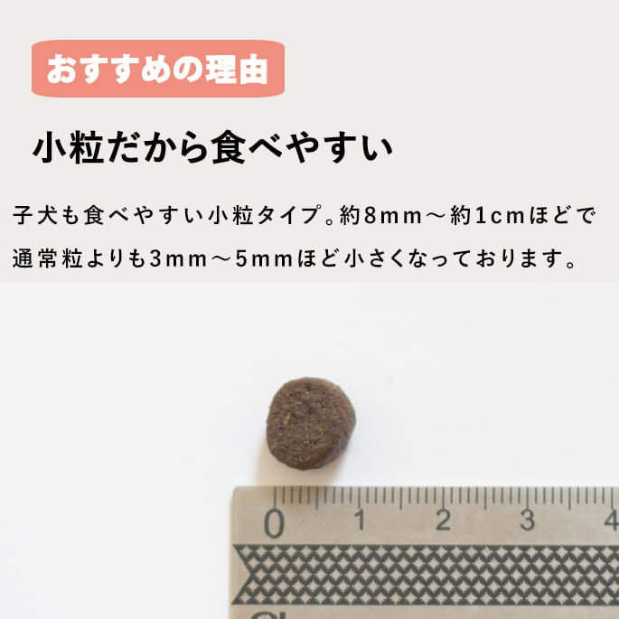 �ȥ饤�ץɥ饤���ɥå��ա��ɡ��ѥԡ����������ȥ��å� ���꡼��ȥ饤�ס��磻��ɥ������ ��γ��230g�����������Ǥ��ޤ���