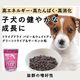 �ȥ饤�ץɥ饤���ɥå��ա��ɡ��ѥԡ����������ȥ��å� ���꡼��ȥ饤�ס��磻��ɥ������ ��γ��230g�����������Ǥ��ޤ���