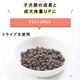 �ȥ饤�ץɥ饤���ɥå��ա��ɡ��ѥԡ����������ȥ��å� ���꡼��ȥ饤�ס��磻��ɥ������ ��γ��230g�����������Ǥ��ޤ���