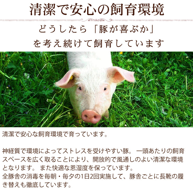 �ץ�ߥ�����ͥݡ���������������200g