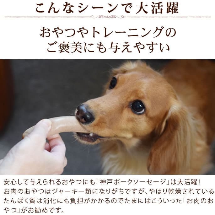 �ץ�ߥ�����ͥݡ���������������200g