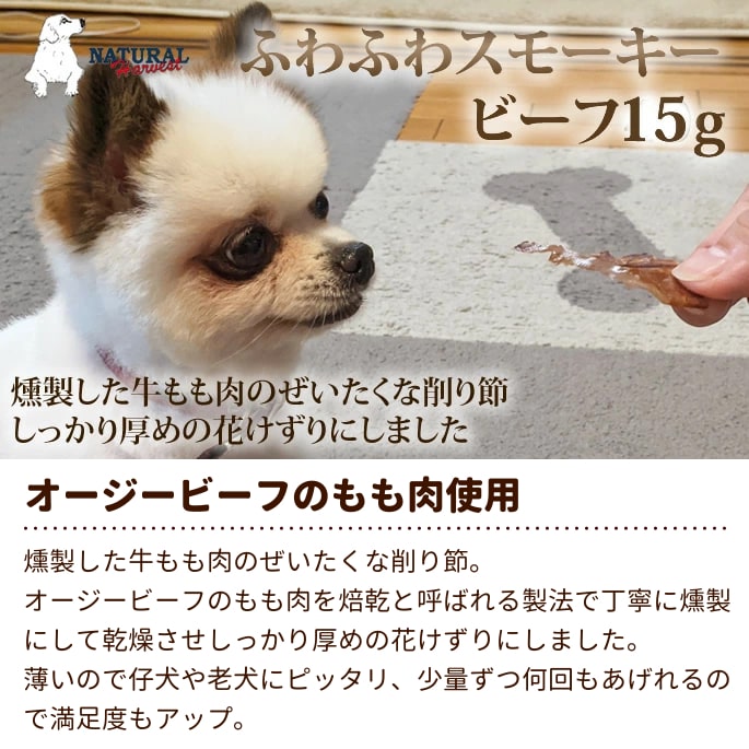 ������ǭ�� �����| �ʥ�����ϡ��٥��� ����ġäդ�դ凉�⡼�����ӡ���15��