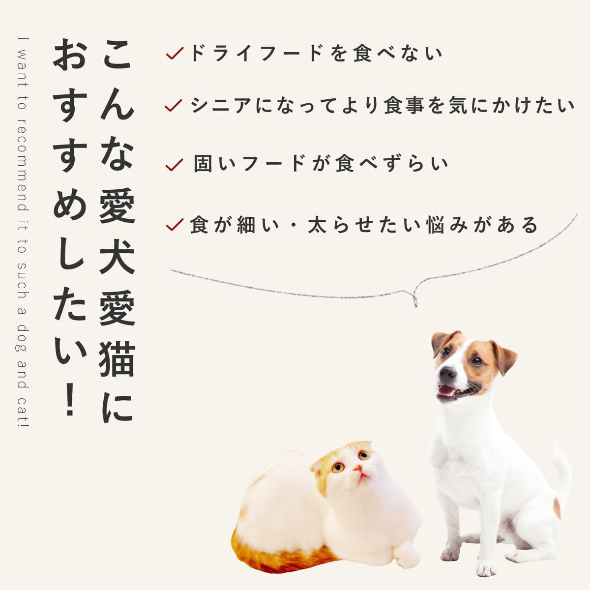 ������ ���ꤴ�Ϥ� ������Υ��ơ�6��/12��/24��/���åȡڥѥå�����������ñ�̤��ѹ��ˤʤ�ޤ�����  �ڥϥ���ɥ��࿩Ʋ�ۡ������ء�