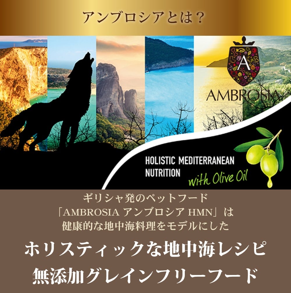 ����֥����� HMN�����ǥ�����ĥ� 100g/1.5kg/5kg/12kg  ��ǯ���б��������ѥɥ饤�ա��ɡ�AMBROSIA���ɥå��ա���