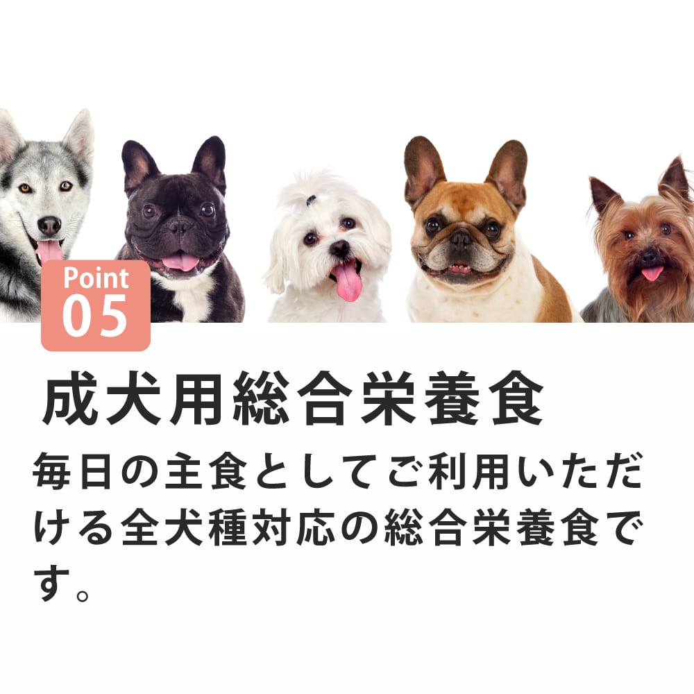 犬 FORZA10｜デイリープロ アダルトラム (フォルツァディエチ)