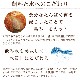 �ץ�ߥ�����ͥݡ�����������������С�����200g