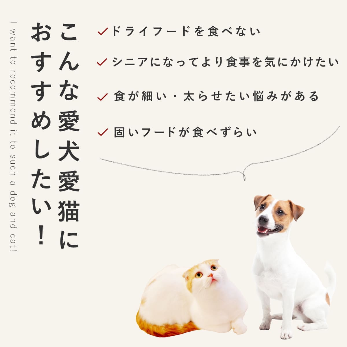 ������ ���ꤴ�Ϥ� �ܤ���ڤΥ��å���6��/12��/24��/���å� �ڥϥ���ɥ��࿩Ʋ�ۡ������ء�