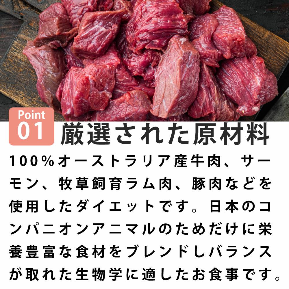 犬用生食 BIGDOG コンボ（サーモン入り） 3kg｜ドックフードの通販