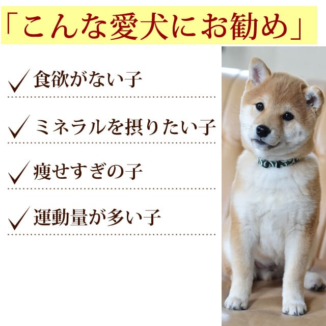 佪λ۸ǭѡںڡù񻺷ܹС 5