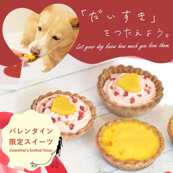 ��1/20�ʹ߽缡ȯ���� �����ѥ������� �Х�󥿥������ �Ȥ��᤭�����BOX�ڥϥ���ɥ��࿩Ʋ�ۡ������ء�