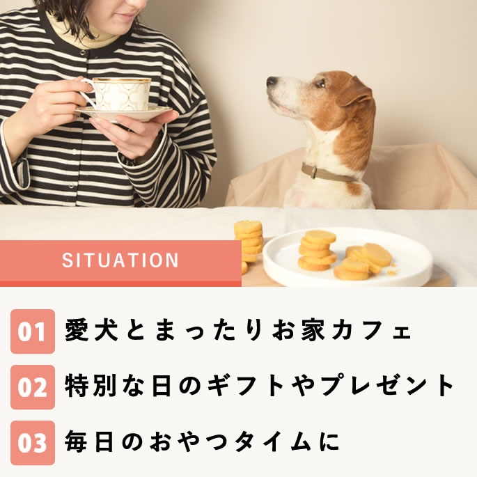 ��12�����۸���̵ź�ä���� �������ץƥ����֥� ��¡���� 5��+1�ޥ��åȡڥϥ���ɥ��࿩Ʋ�ۡ������