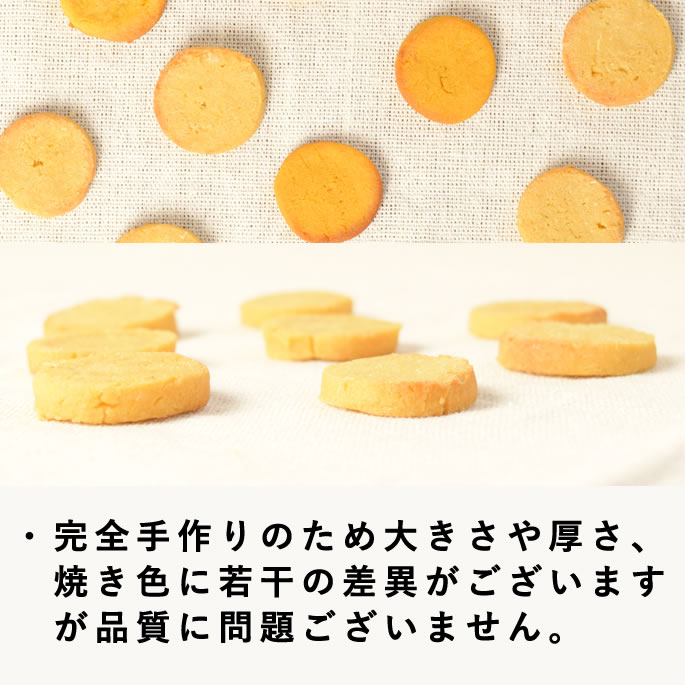 ��12�����۸���̵ź�ä���� �������ץƥ����֥� ��¡���� 5��+1�ޥ��åȡڥϥ���ɥ��࿩Ʋ�ۡ������