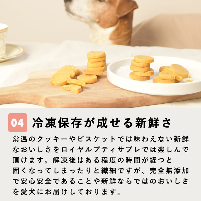 ��12�����۸���̵ź�ä���� �������ץƥ����֥� ��¡���� 5��+1�ޥ��åȡڥϥ���ɥ��࿩Ʋ�ۡ������