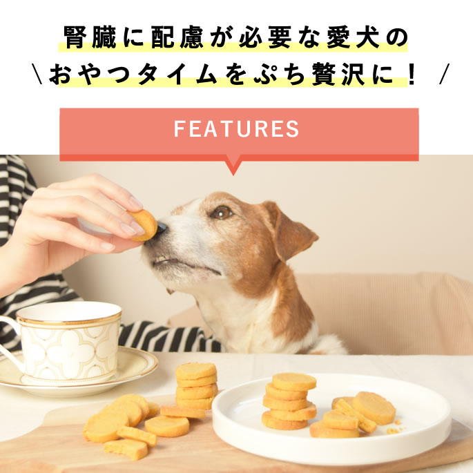 ��12�����۸���̵ź�ä���� �������ץƥ����֥� ��¡���� 5��+1�ޥ��åȡڥϥ���ɥ��࿩Ʋ�ۡ������