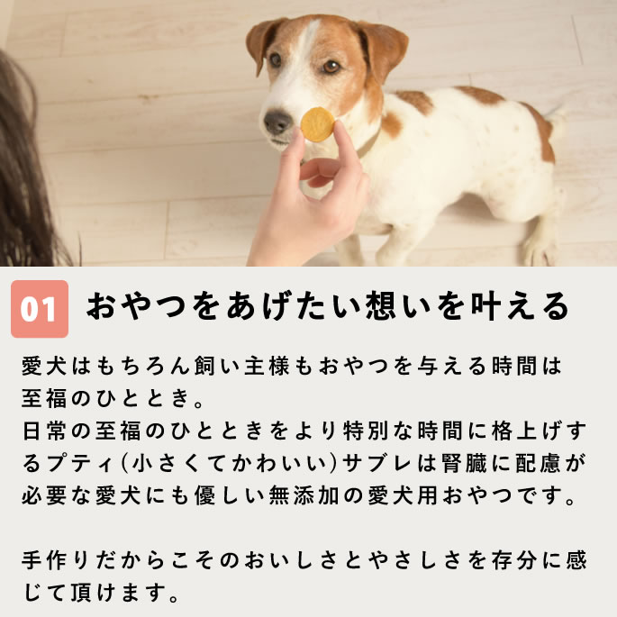 ��12�����۸���̵ź�ä���� �������ץƥ����֥� ��¡���� 5��+1�ޥ��åȡڥϥ���ɥ��࿩Ʋ�ۡ������