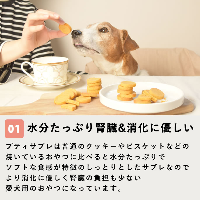 ��12�����۸���̵ź�ä���� �������ץƥ����֥� ��¡���� 5��+1�ޥ��åȡڥϥ���ɥ��࿩Ʋ�ۡ������