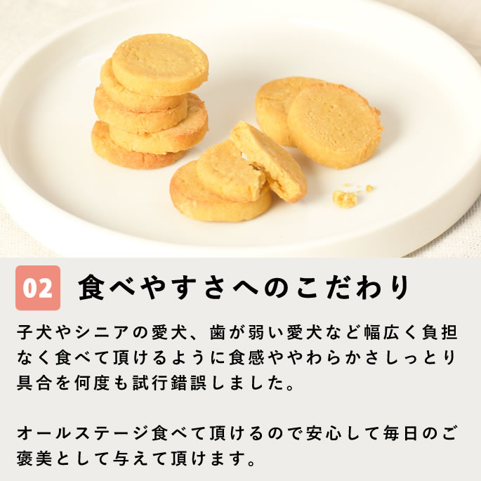 ��12�����۸���̵ź�ä���� �������ץƥ����֥� ��¡���� 5��+1�ޥ��åȡڥϥ���ɥ��࿩Ʋ�ۡ������