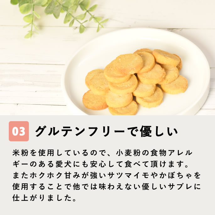 ��12�����۸���̵ź�ä���� �������ץƥ����֥� ��¡���� 5��+1�ޥ��åȡڥϥ���ɥ��࿩Ʋ�ۡ������