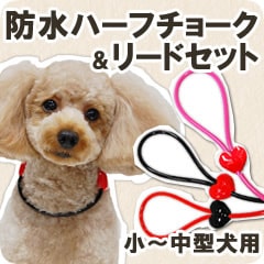 ���ѥϡ��ե��硼�����꡼�ɡ�ASHU ��֥꡼�쥤��ϡ��ե��硼�����꡼�ɥ��åȡ������淿����