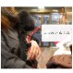 ���ѥϡ��ե��硼�����꡼�ɡ�ASHU ��֥꡼�쥤��ϡ��ե��硼�����꡼�ɥ��åȡ������淿����