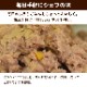 �ʥ�����ϡ��٥��� ��ȥ�ȡ� �ѥơ��ɡ��٥˥���